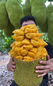 Jackfruit