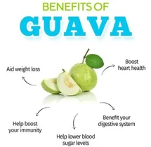 Guava